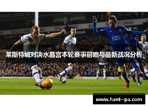 莱斯特城对决水晶宫本轮赛事前瞻与最新战况分析