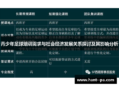 青少年足球培训需求与社会经济发展关系探讨及其影响分析
