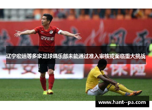 辽宁宏运等多家足球俱乐部未能通过准入审核或面临重大挑战