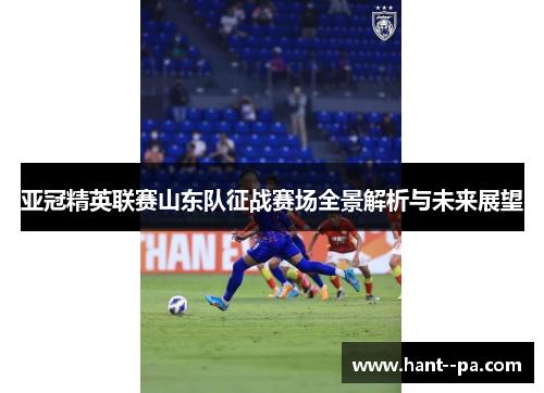 亚冠精英联赛山东队征战赛场全景解析与未来展望
