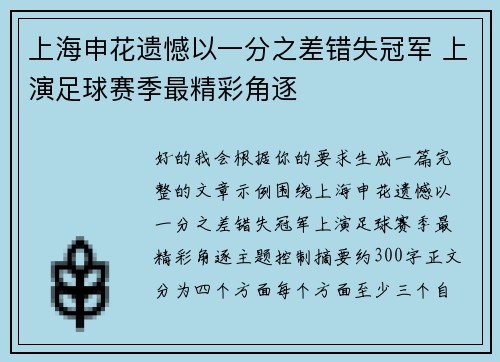 上海申花遗憾以一分之差错失冠军 上演足球赛季最精彩角逐