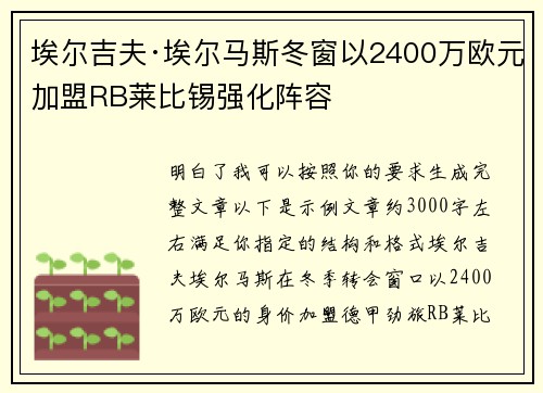 埃尔吉夫·埃尔马斯冬窗以2400万欧元加盟RB莱比锡强化阵容