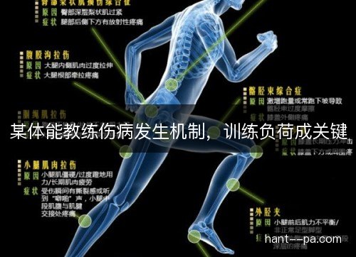 某体能教练伤病发生机制，训练负荷成关键