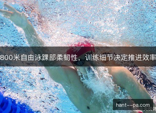 800米自由泳踝部柔韧性，训练细节决定推进效率